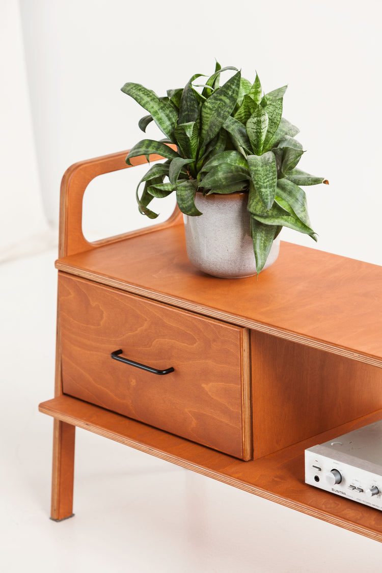 Szafka RTV z 2 szufladami