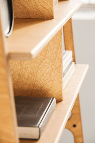 details-of-bookcase-mid-century-modern-wooden-design-in-the-afternoon-sun