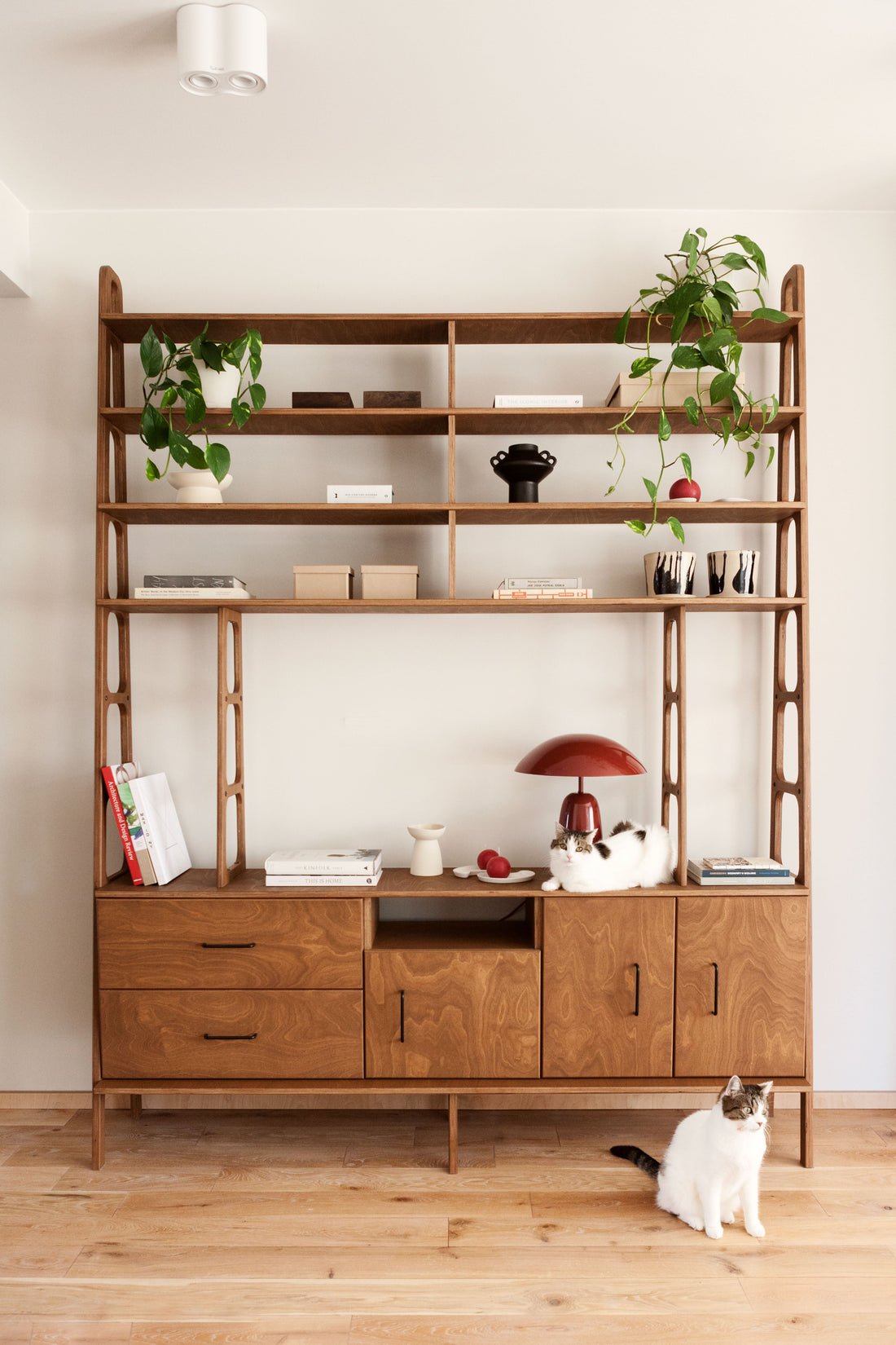 Jak wybrać meble mid-century modern do współczesnego domu