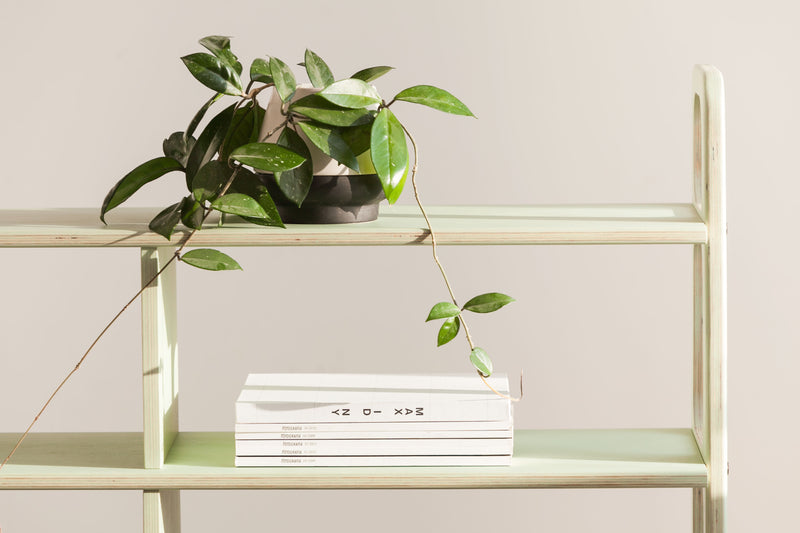 Regał Midi W120
