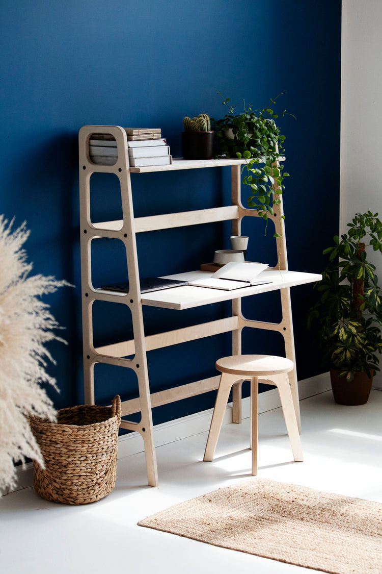 bookcase-with-desk-modern-design-in-daylight