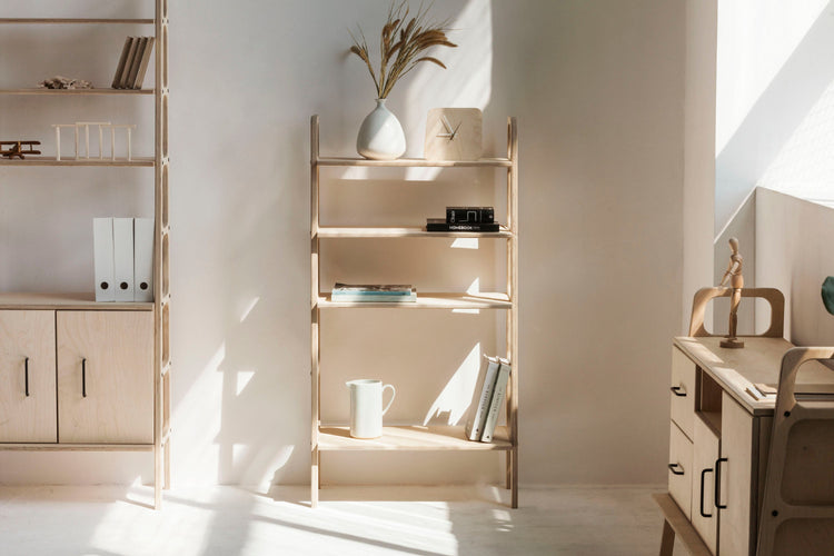 bookshelf-in-the-full-sun-mid-century-modern