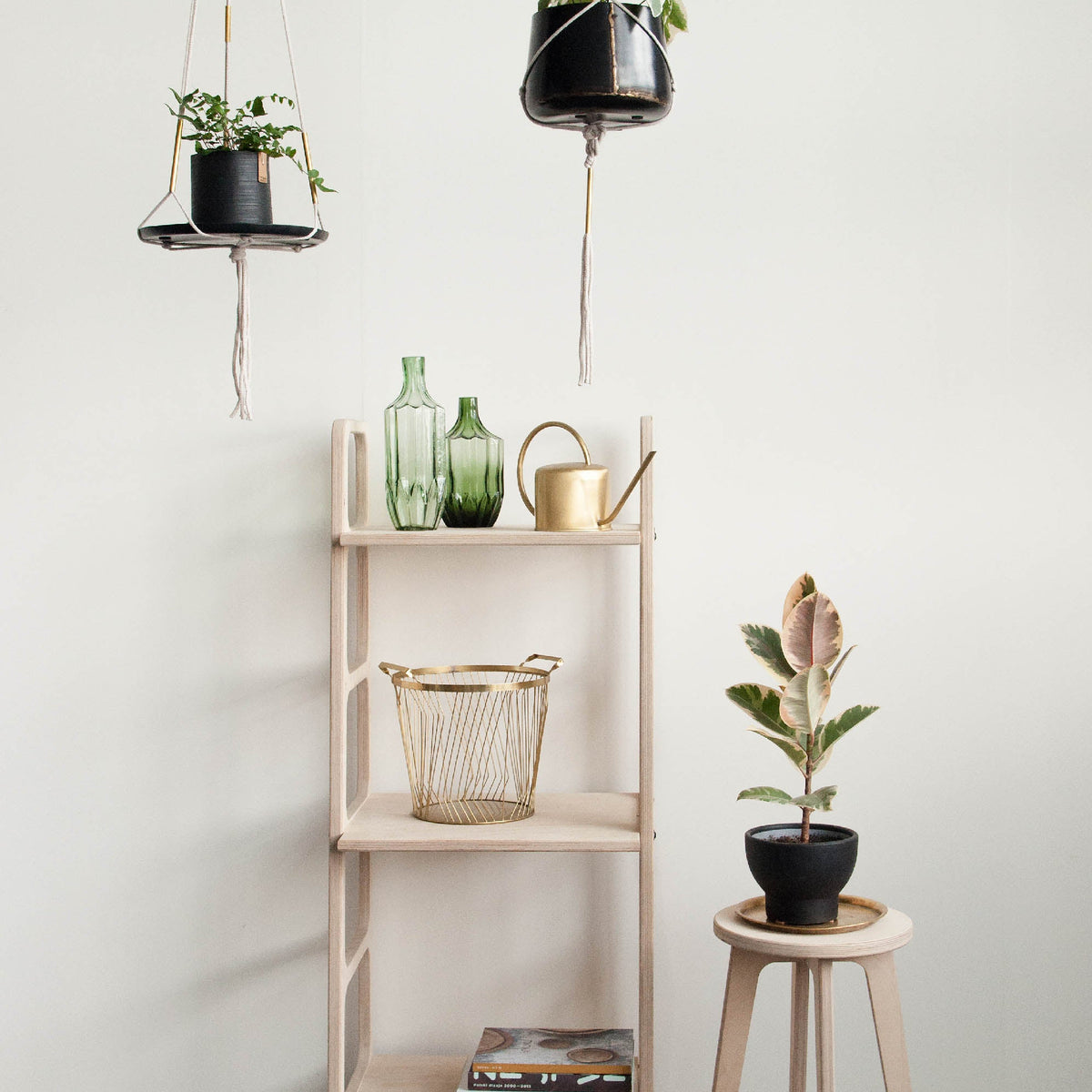 bookshelf-mid-century-modern-in-the-interior-with-plants