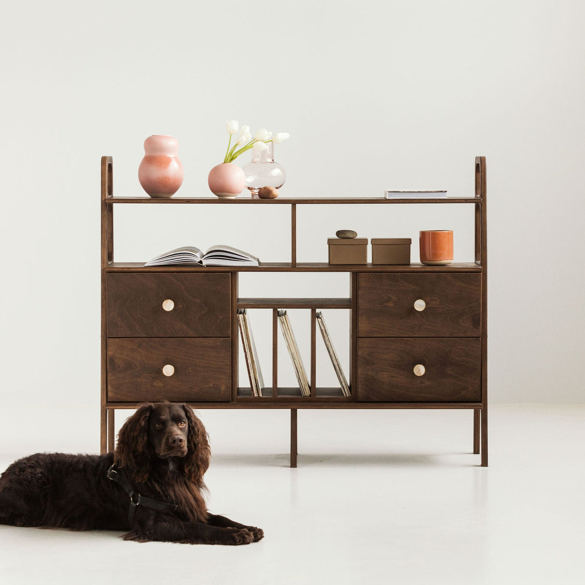 dog-in-front-ofmid-century-modern-sideboard-with-drawers-and-vinyl-storage-in-walnut-stain
