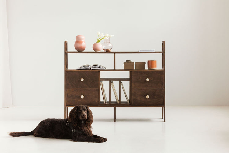 dog-in-front-ofmid-century-modern-sideboard-with-drawers-and-vinyl-storage-in-walnut-stain
