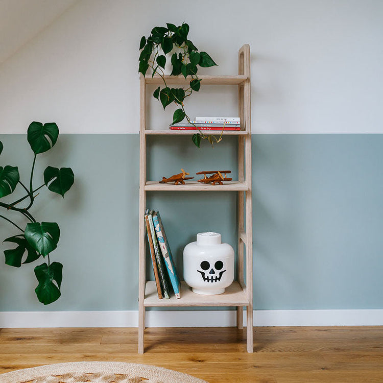 mid-century-modern-bookcase-with-plants