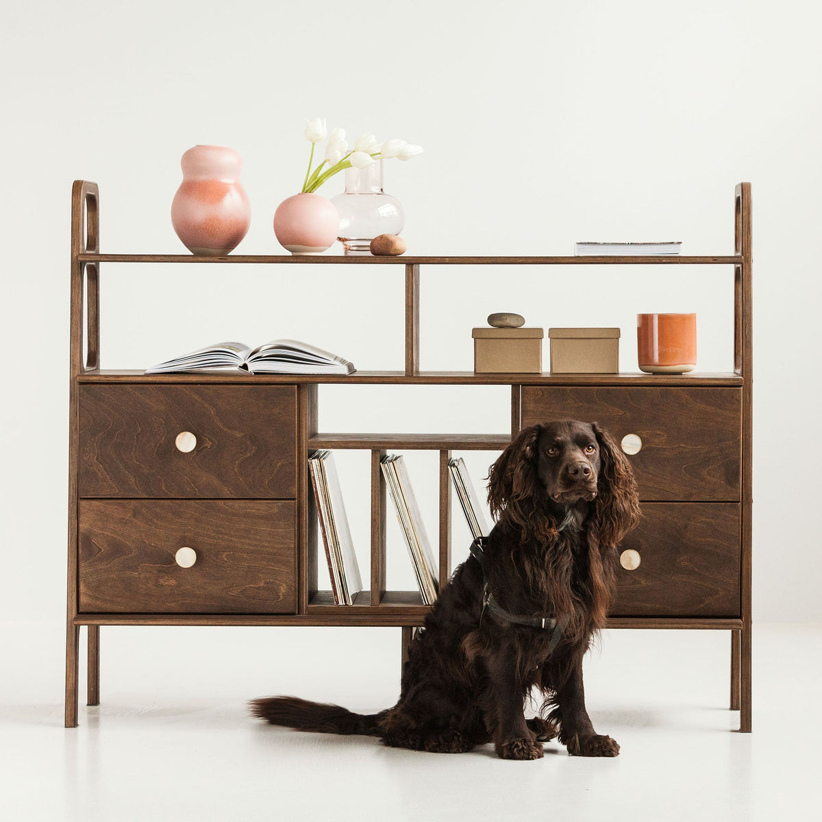 mid-century-modern-sideboard-with-drawers-and-vinyl-storage-in-walnut-stain-with-dog