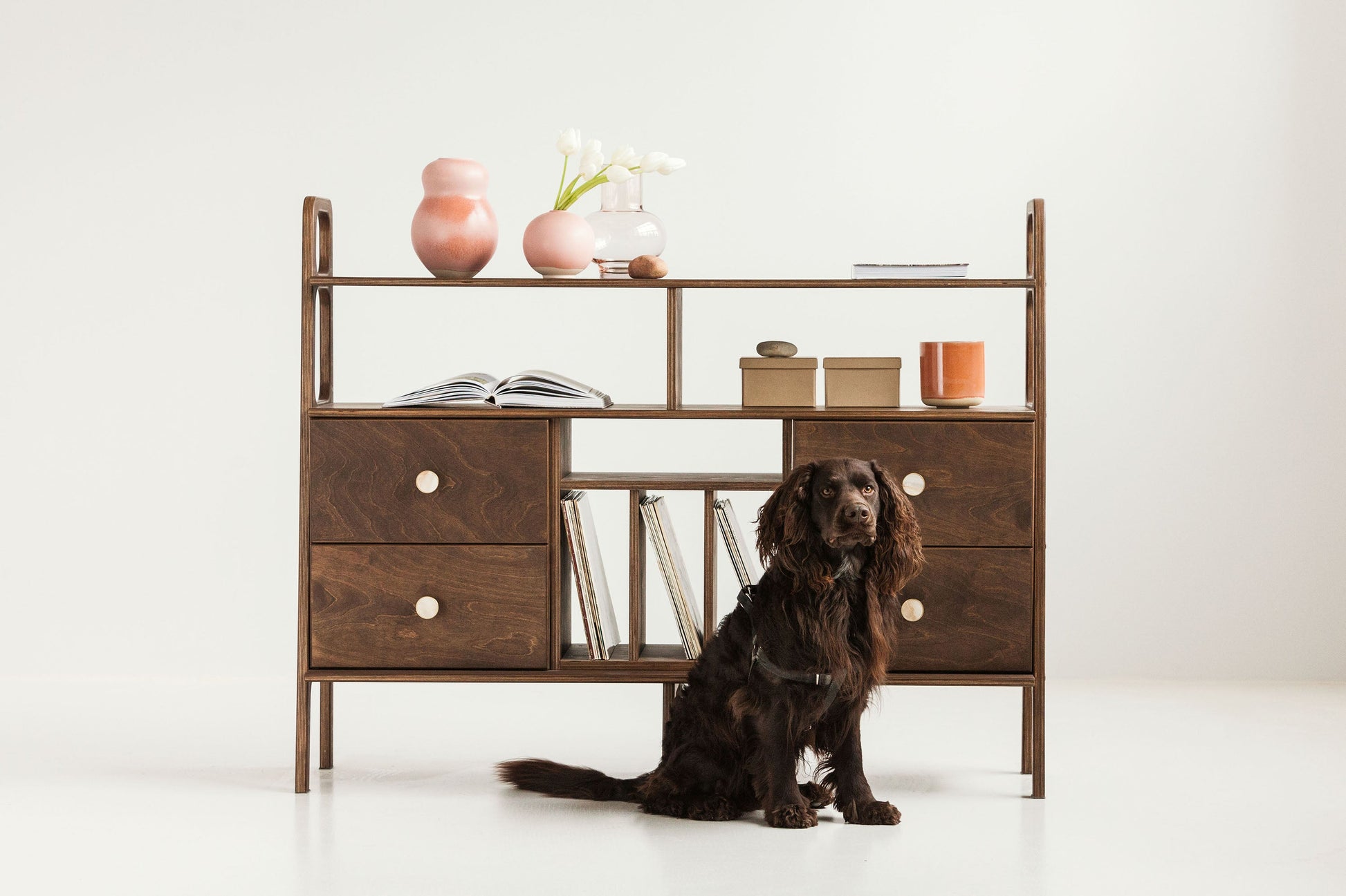mid-century-modern-sideboard-with-drawers-and-vinyl-storage-in-walnut-stain-with-dog