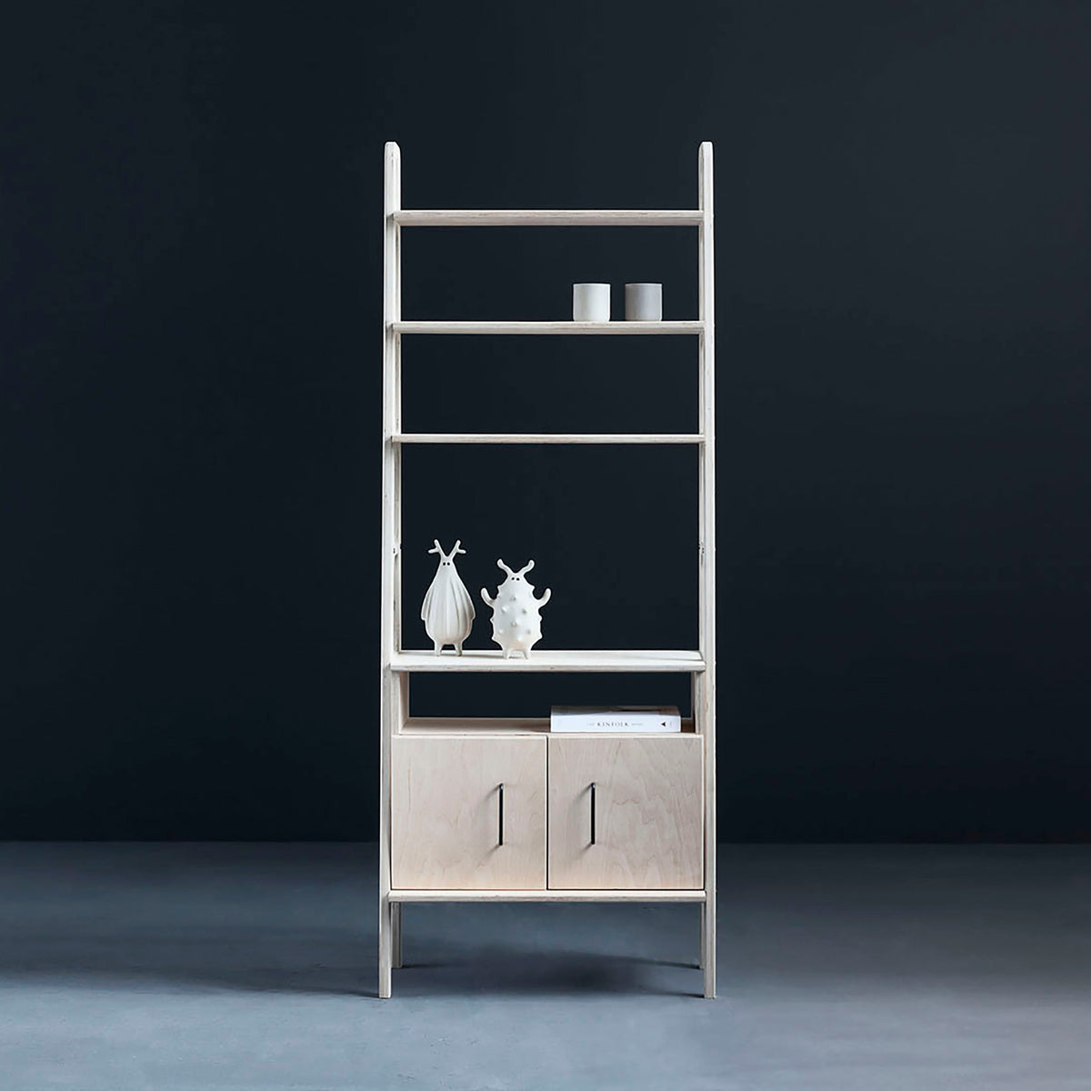 minimalist-bookcase-with-cabinet-open
